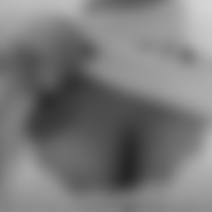 rencontre-Cougar-Mulhouse