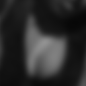 rencontre-Cougar-Arras