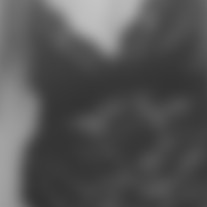 rencontre-Cougar-Saumur