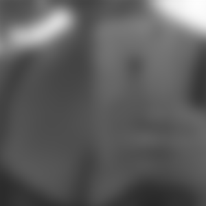 rencontre-Cougar-Bagnères-de-Bigorre