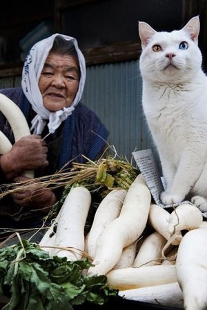 Sabrina - rencontre-cougar-tours-TlwO